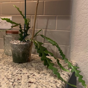 Becky added a photo of their purchase