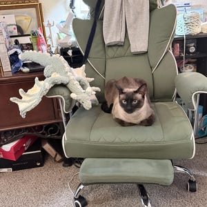 car added a photo of their purchase