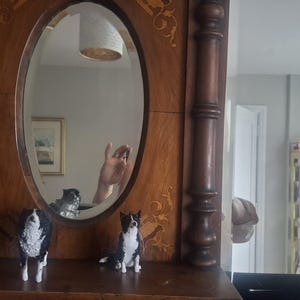 Daria added a photo of their purchase