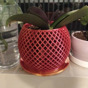 Raeanna added a photo of their purchase