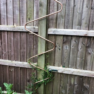 Ann added a photo of their purchase