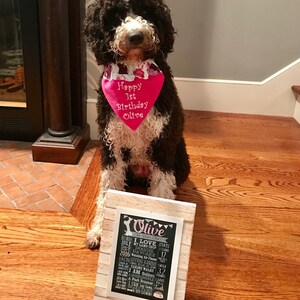 Angie added a photo of their purchase