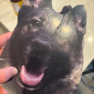 Nick added a photo of their purchase