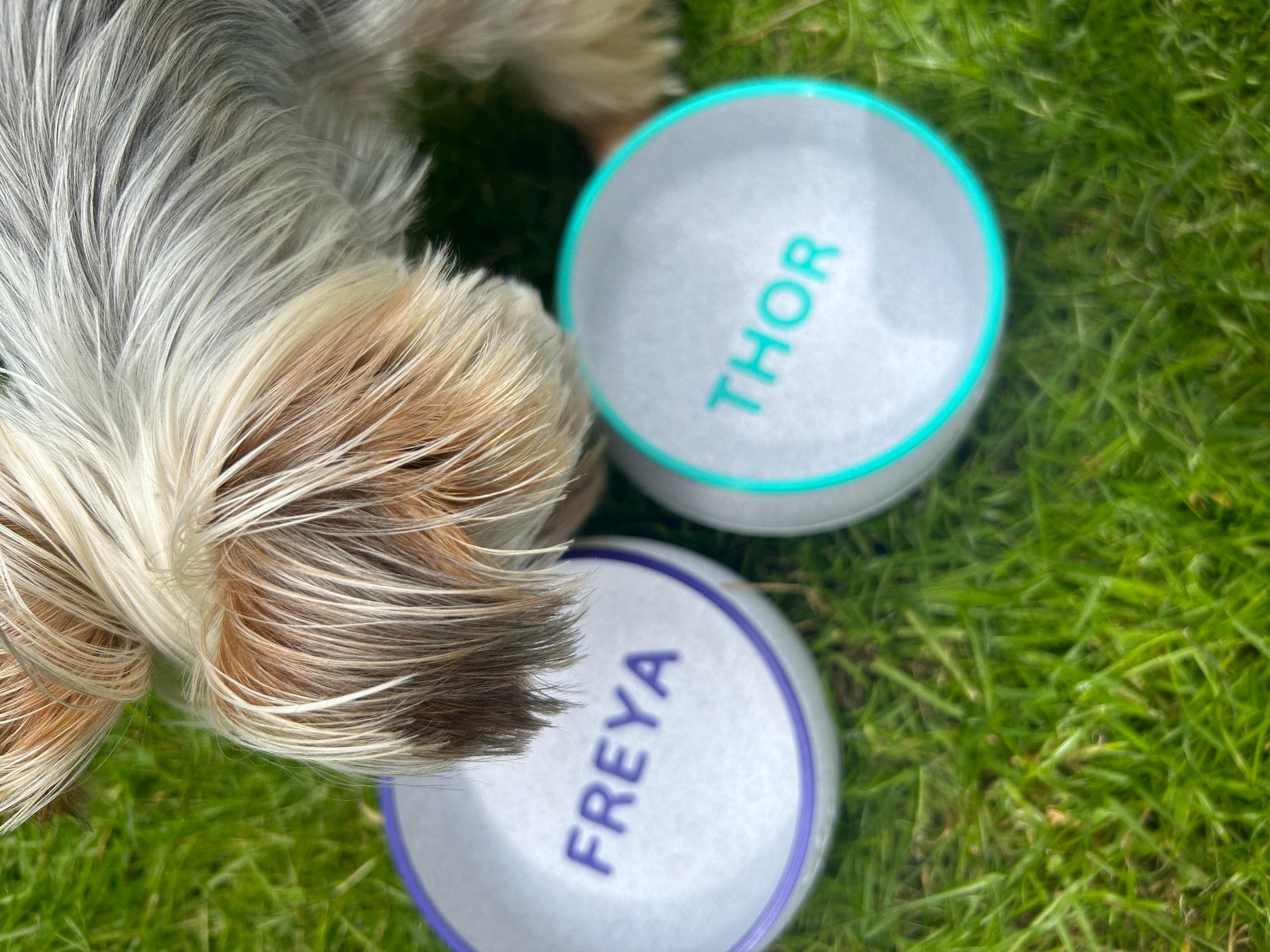 Personalized Dog Bowl with Name