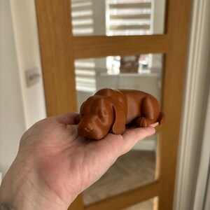 Ceri さんが購入した商品の写真を追加しました