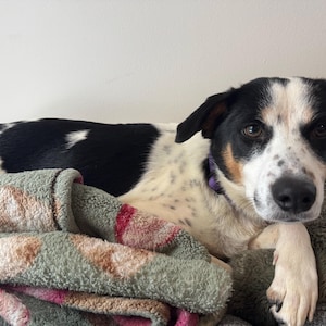 Stephanie a ajouté une photo de son achat