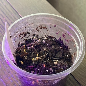 Morgan added a photo of their purchase
