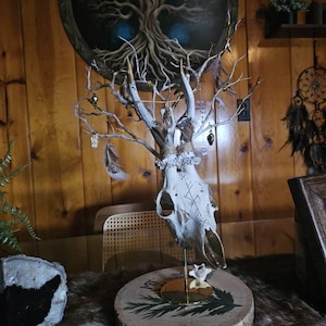 Carissa added a photo of their purchase