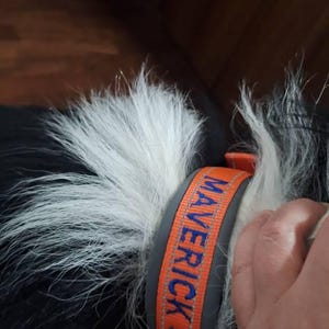 daria added a photo of their purchase