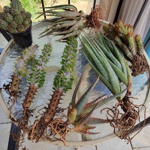 Clair ha añadido una foto de su compra