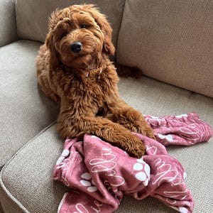Mackenzie added a photo of their purchase
