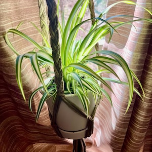 Jeannie added a photo of their purchase