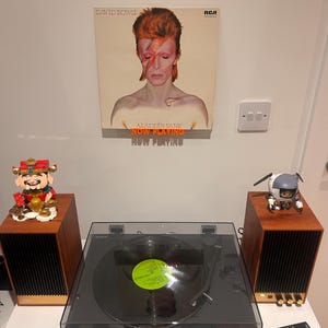 Molly added a photo of their purchase