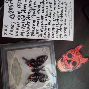 Rebecca さんが購入した商品の写真を追加しました