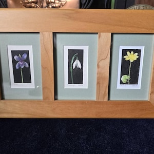 Lisa added a photo of their purchase