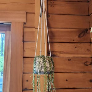 Laura added a photo of their purchase