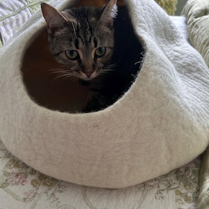 Ellen added a photo of their purchase