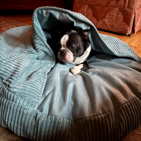 Luxurious Velvet Nesting Dog Bed in Emerald Green main image 0