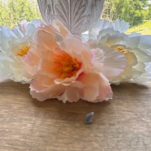 Donna added a photo of their purchase