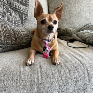 LeeAnn added a photo of their purchase