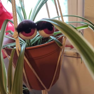 Patricia a ajouté une photo de son achat