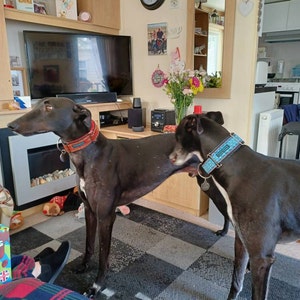 S added a photo of their purchase