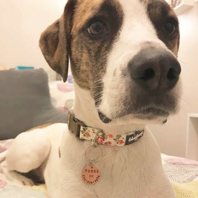 etsy pet tags etsy pet tags