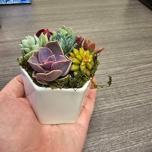 Katherine added a photo of their purchase
