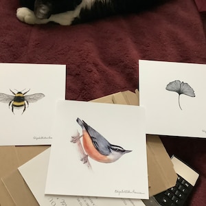 Elizabeth added a photo of their purchase