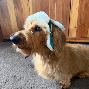 Robert added a photo of their purchase