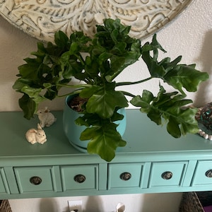 Elizabeth added a photo of their purchase