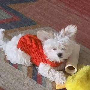 Sherry added a photo of their purchase