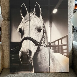 Allison added a photo of their purchase