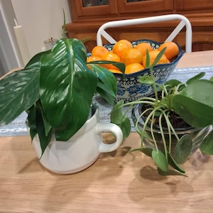 Jane added a photo of their purchase