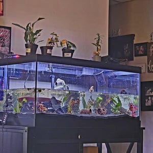 Cassie added a photo of their purchase