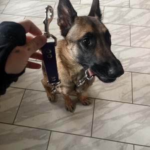 Wolf added a photo of their purchase