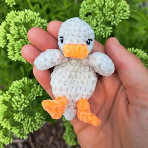 Libby added a photo of their purchase