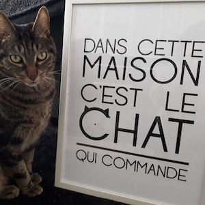 Chat Affiche Chat Decoration Chat Citation Chat Cadeau Etsy