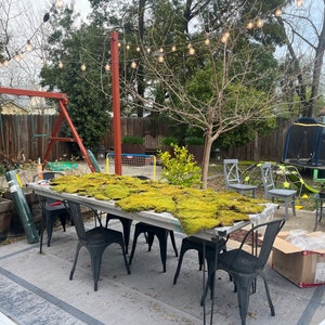 Ashley added a photo of their purchase