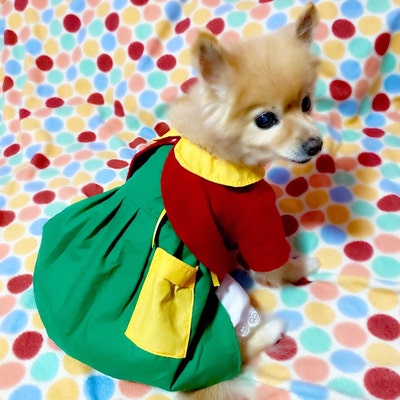 La Chilindrina Dog Costume- Preorder