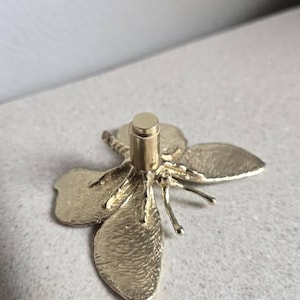 Elisa added a photo of their purchase