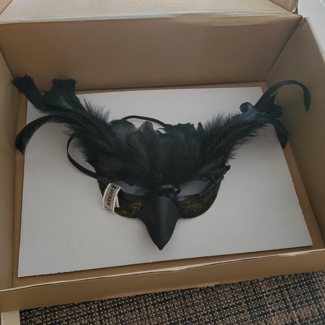 Whyzsjnclg Masque De Corbeau – Demi-visage Plumes Réaliste, 16x30 Cm, Plastique Léger, Pour Halloween, Mardi Gras, Cosplay