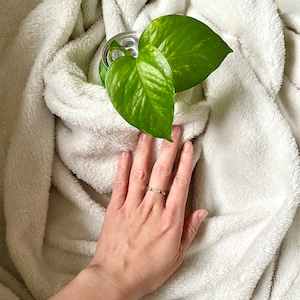 Acquirente Etsy ha aggiunto una foto del proprio acquisto
