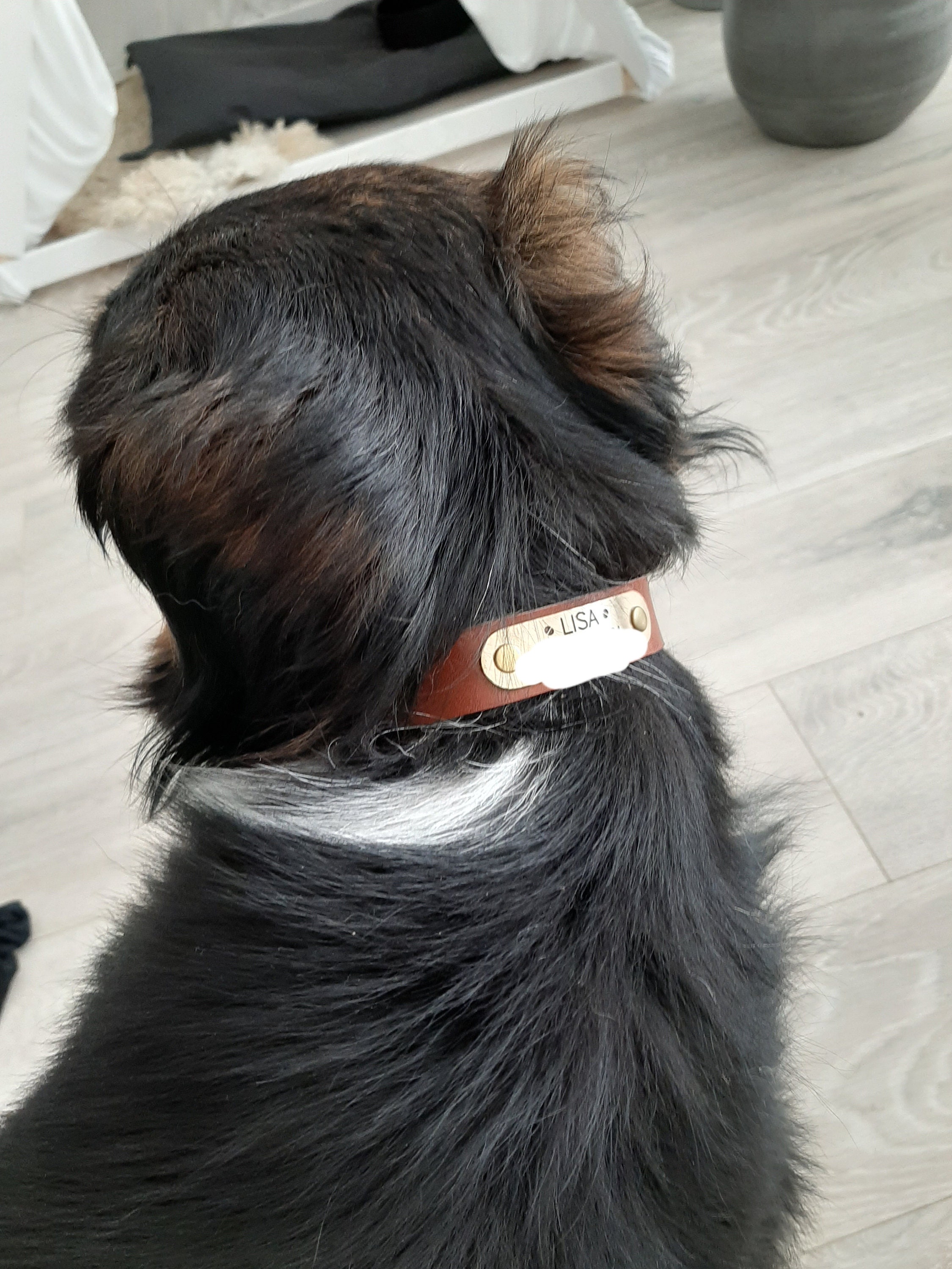 💖Buy 2 Free Shipping💖Dog Collar Personalized, Leather Dog Collar, Dog Collar With Name, ID tag, Brown Leather Custom Collar, Dog Lover Gift, Dog Gift,