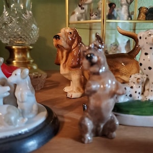 kathysigler added a photo of their purchase