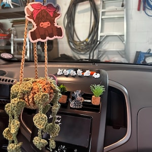 Holly added a photo of their purchase