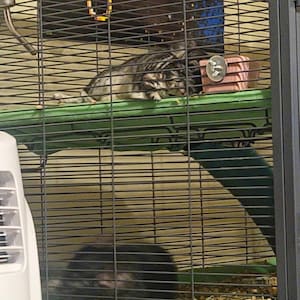 Tricia added a photo of their purchase
