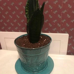 Gina Kato added a photo of their purchase