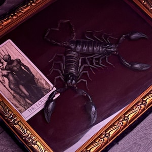 Caira added a photo of their purchase