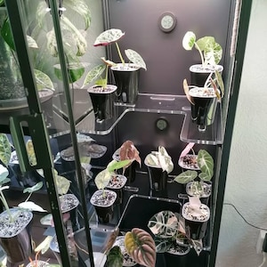 Anne added a photo of their purchase